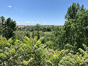 Vistas